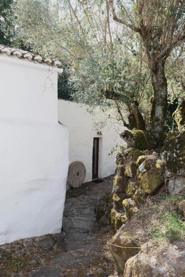 Serra Vida - A Place Of Presence Santo António das Areias エクステリア 写真