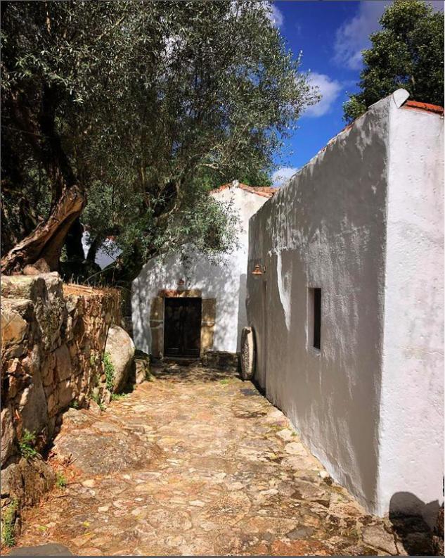 Serra Vida - A Place Of Presence Santo António das Areias エクステリア 写真